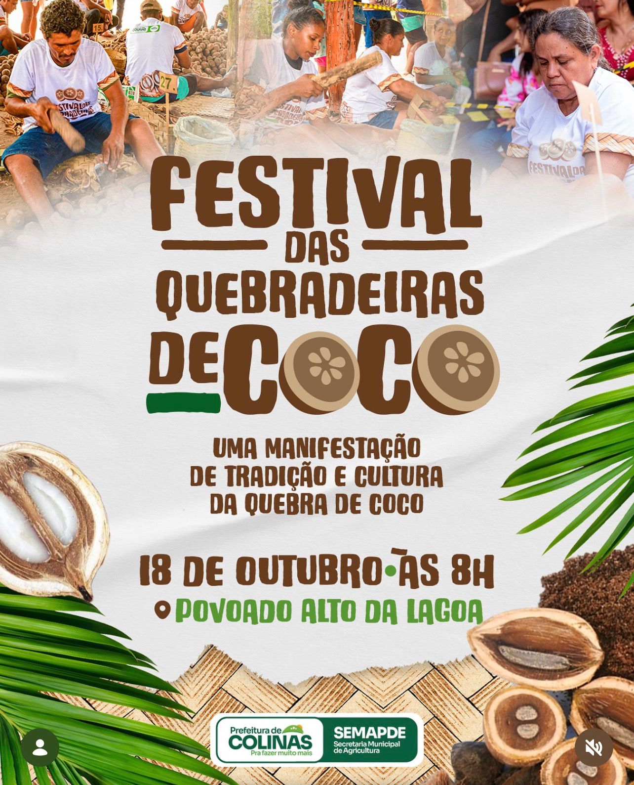 Festival das Quebradeiras de Coco no Povoado Alto da Lagoa será realizado no dia 18, sábado